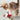 Kong Cat Active Jacks Stuiterbal Multipack Met Catnip Rood
