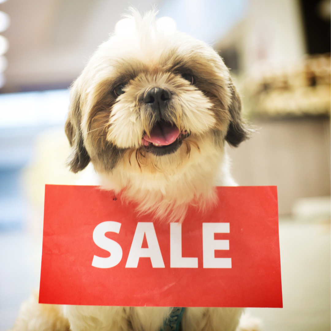 Sale - Honden