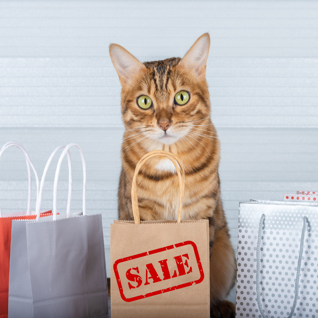 Sale - Katten