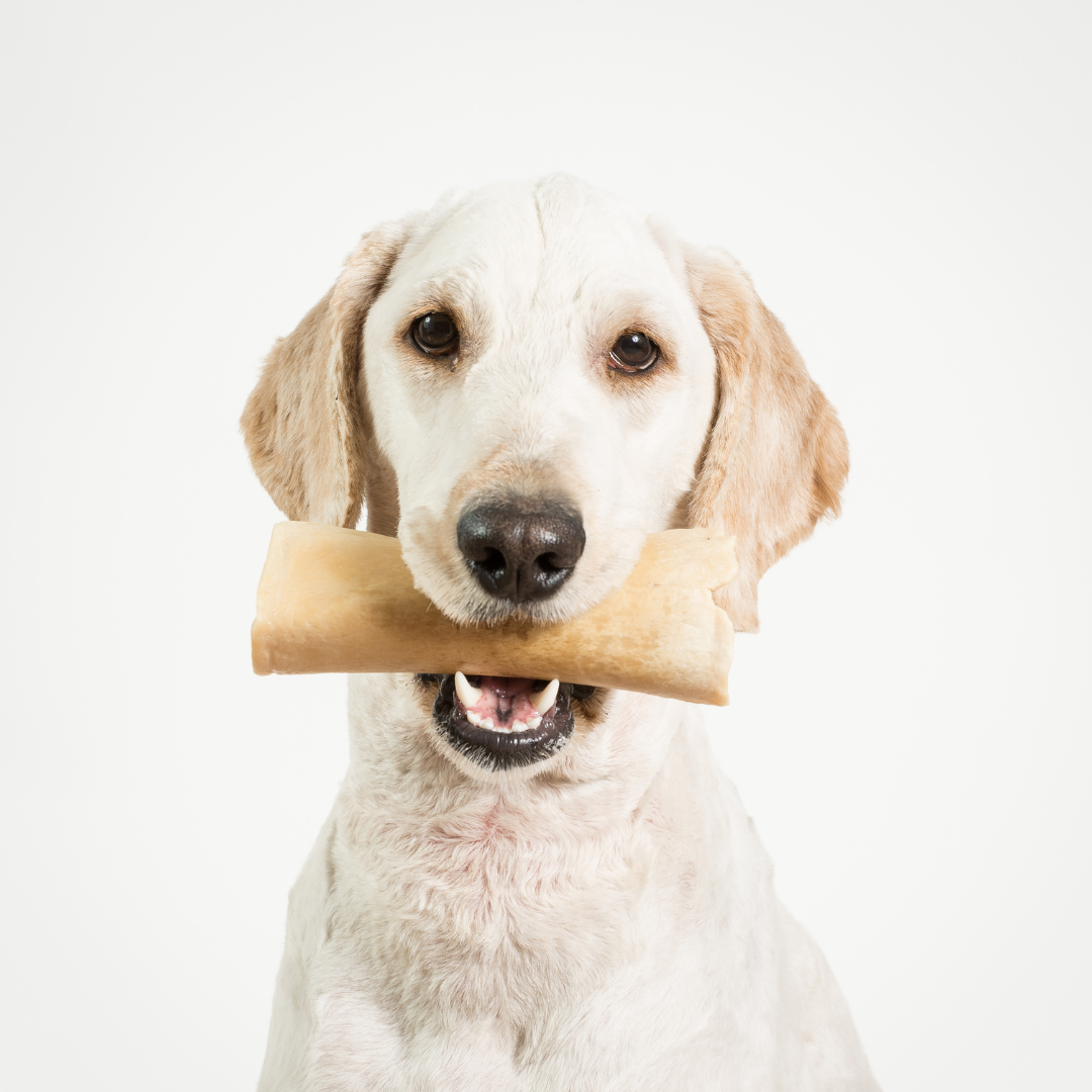 Honden - Gedroogde snacks