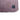 Martin Hondenkussen Master Royal Collection Roze