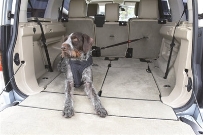 Kong Autogordel Hond Cargo Swivel