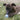Kong Puppy Bal Assorti