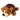 Kong Shells Beer Bruin