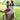 Kong Zoomgroom Rubber Borstel Roze