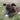 Kong Puppy Ball Roze Of Lichtblauw Assorti