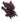 I Am Eend Strip
