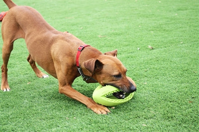 Happy Pet Grubber Interactieve Rugbybal Mini Assorti 19X9X9 CM