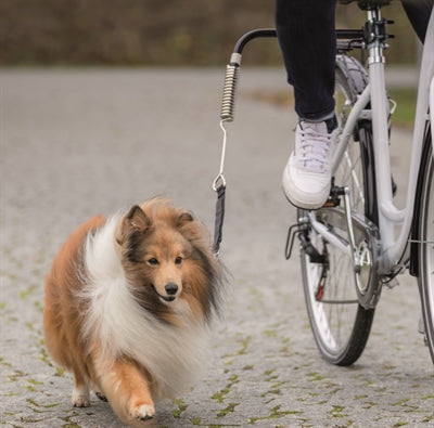 Trixie Bikerset Fietsbeugel