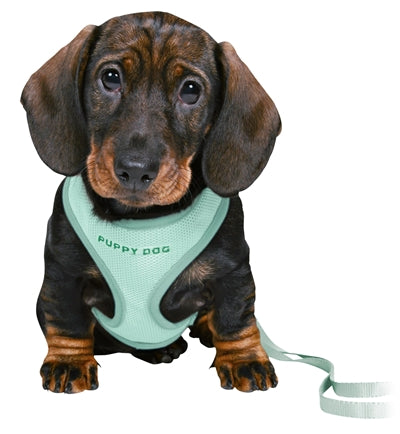 Trixie Junior Puppytuig Soft Met Riem Mintgroen 26-34X1 CM  / 2 MTR