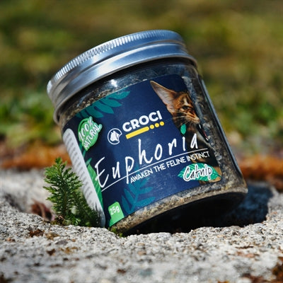 Croci Euphoria Catnip Pot 25 GR