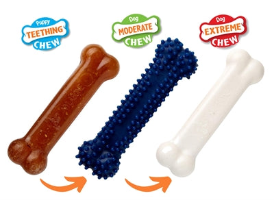 Nylabone Puppy Chew Puppy Starter Kit Chicken <11 KG