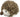 Trixie Hondenspeelgoed Bal Egel Met Geluid Pluche / Rubber 17 CM