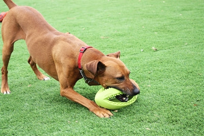 Happy Pet Grubber Interactieve Rugbybal 26X13X13 CM