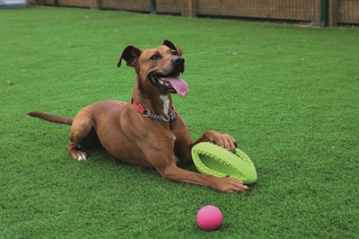 Happy Pet Grubber Interactieve Rugbybal 26X13X13 CM