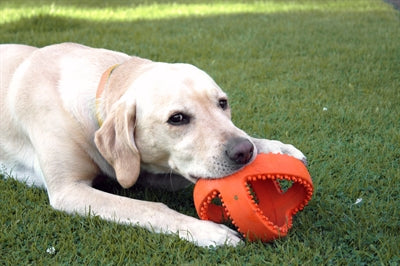 Happy Pet Grubber Interactieve Voetbal Oranje 18X18X18 CM