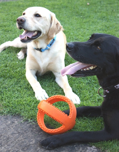 Happy Pet Grubber Interactieve Voetbal Oranje 18X18X18 CM