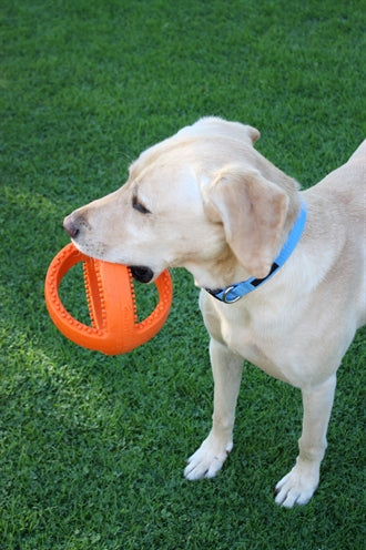 Happy Pet Grubber Interactieve Voetbal Oranje 18X18X18 CM